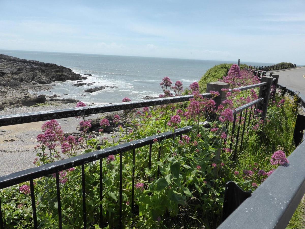 2A Redcliffe Apartment Bishopston Εξωτερικό φωτογραφία