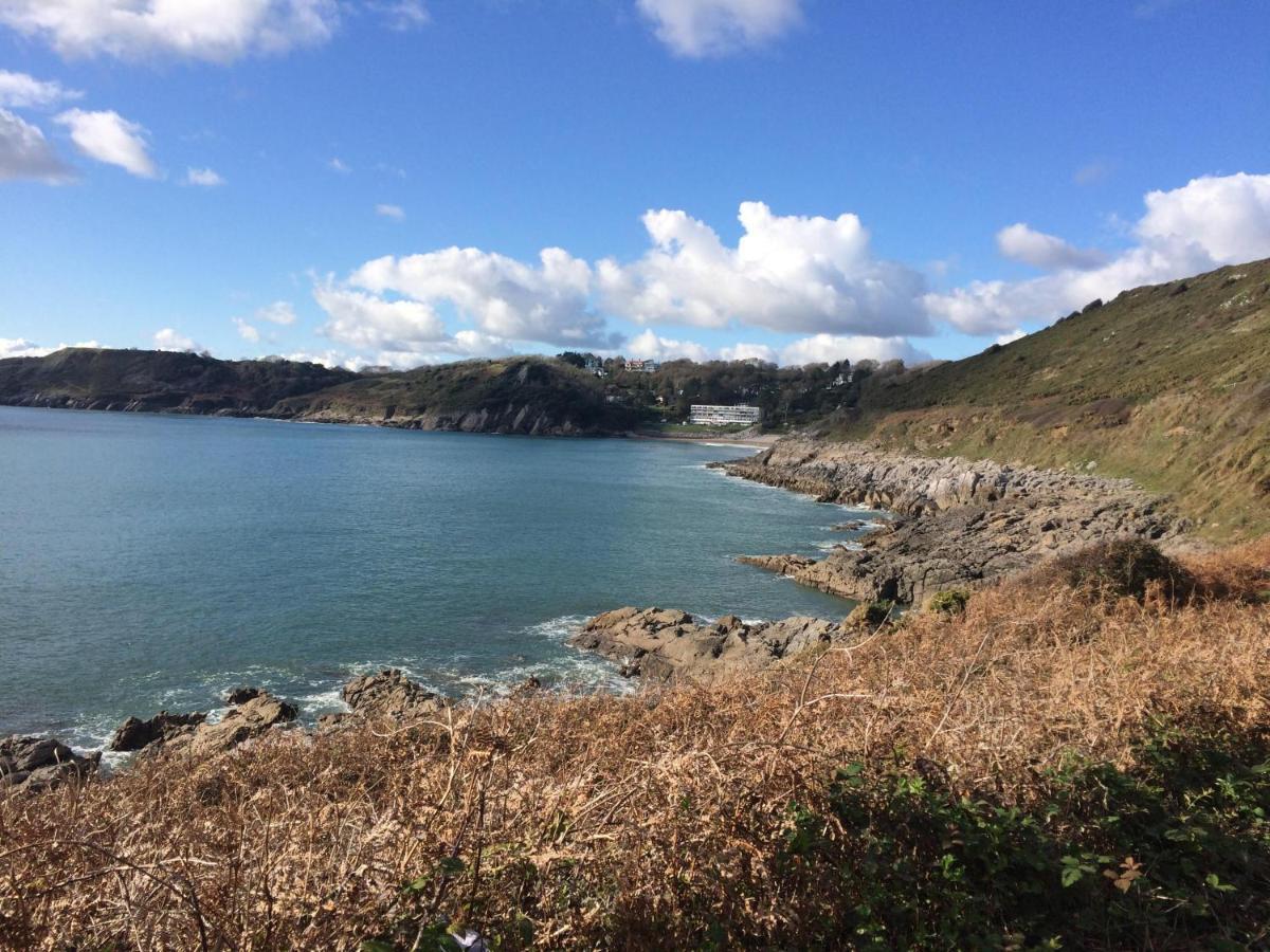 2A Redcliffe Apartment Bishopston Εξωτερικό φωτογραφία
